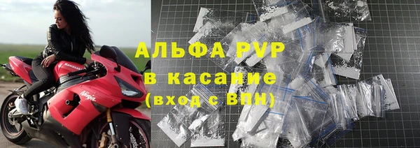 сатива Надым