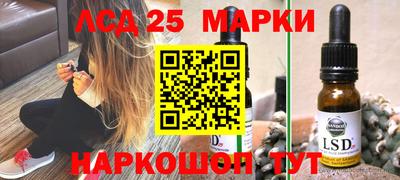 стаф Донской