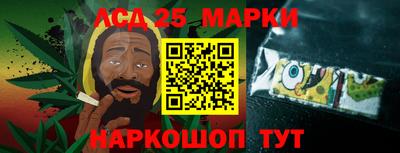 стаф Донской