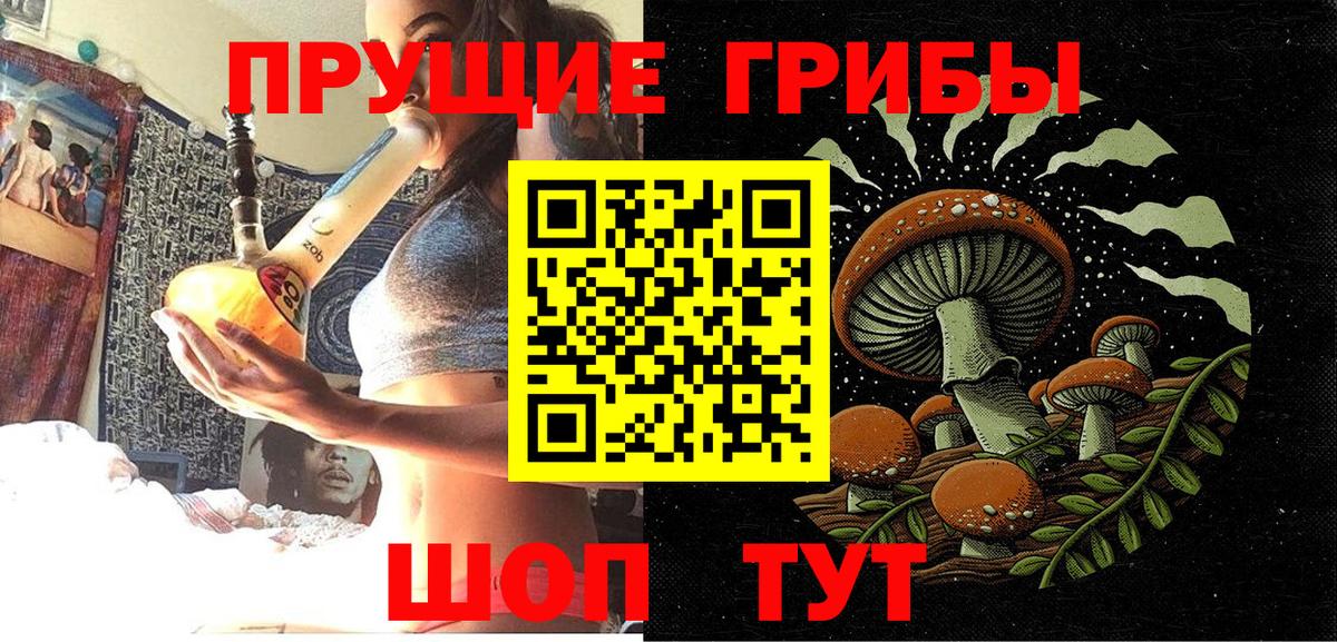 Мариинск  Галлюциногенные грибы Cubensis  Вход с VPN  Галлюциногенные грибы прущие грибы 