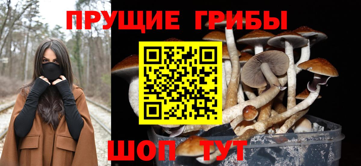 Псилоцибиновые грибы GOLDEN TEACHER Мариинск